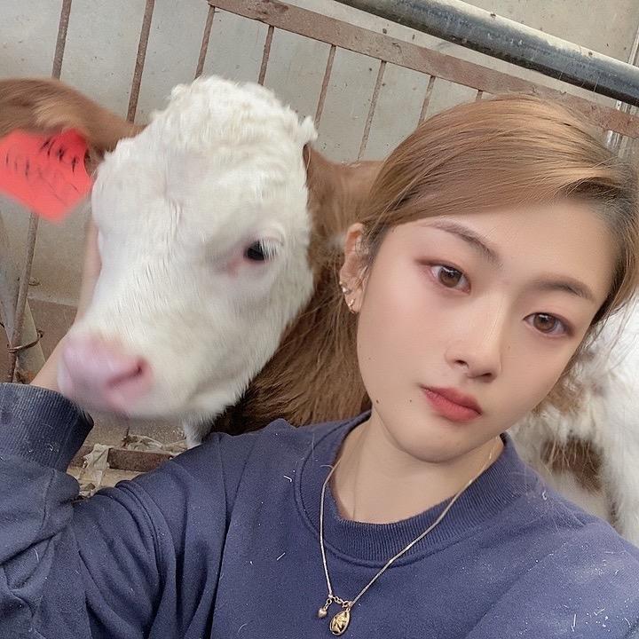 养牛人雪倩
