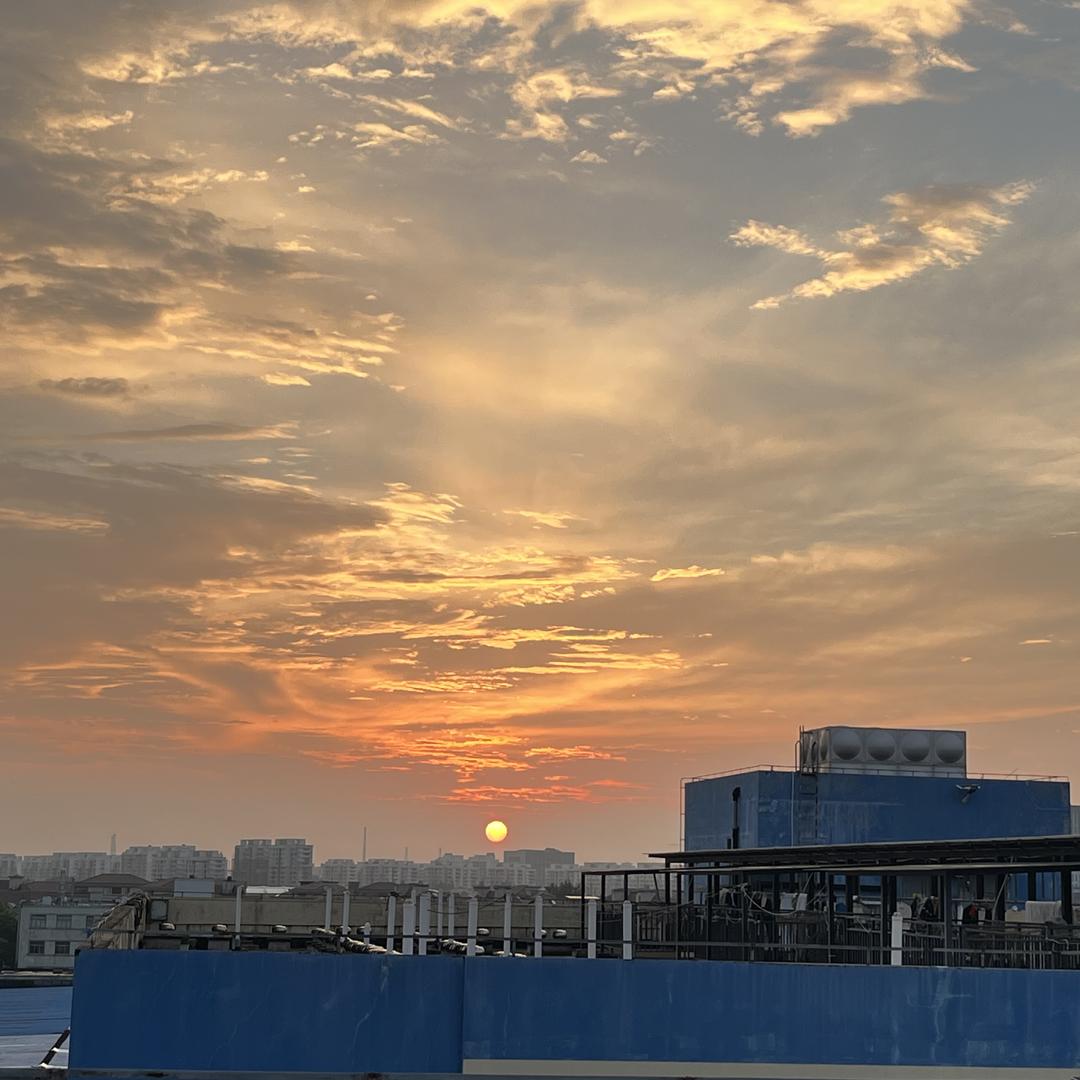 三江谷仓仓鼠