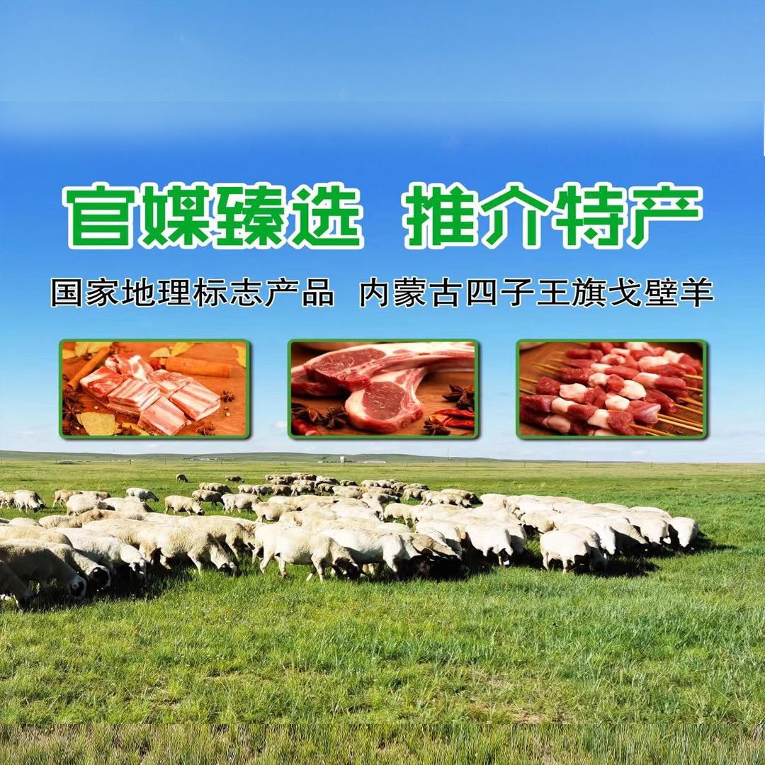 四子王特产优选
