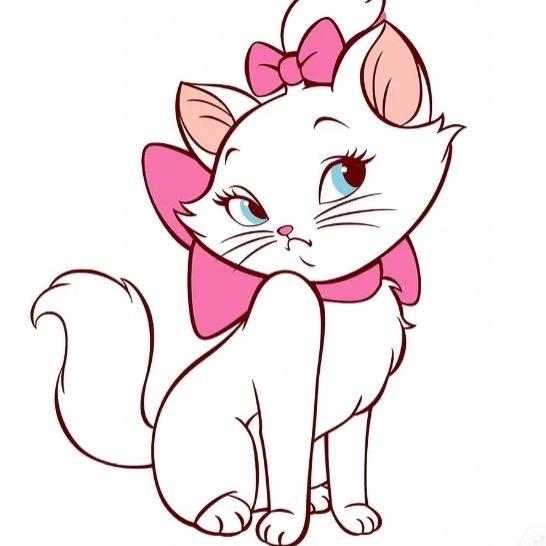 喵🐱老师