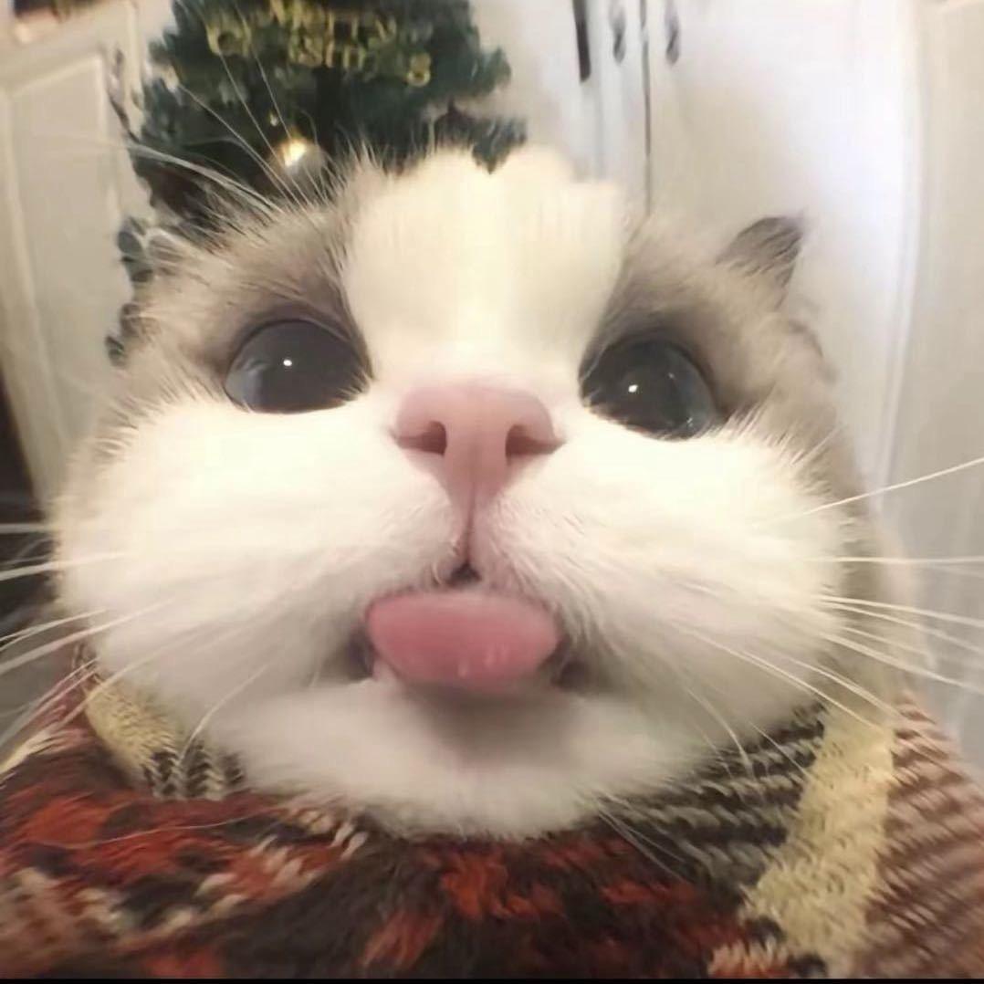 好有钱