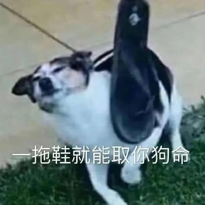 菠菜芋泥🍡
