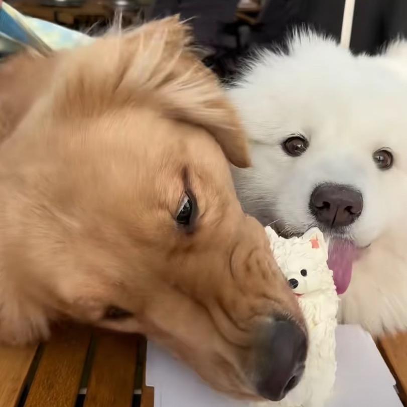 王者-莫白（账号测评）