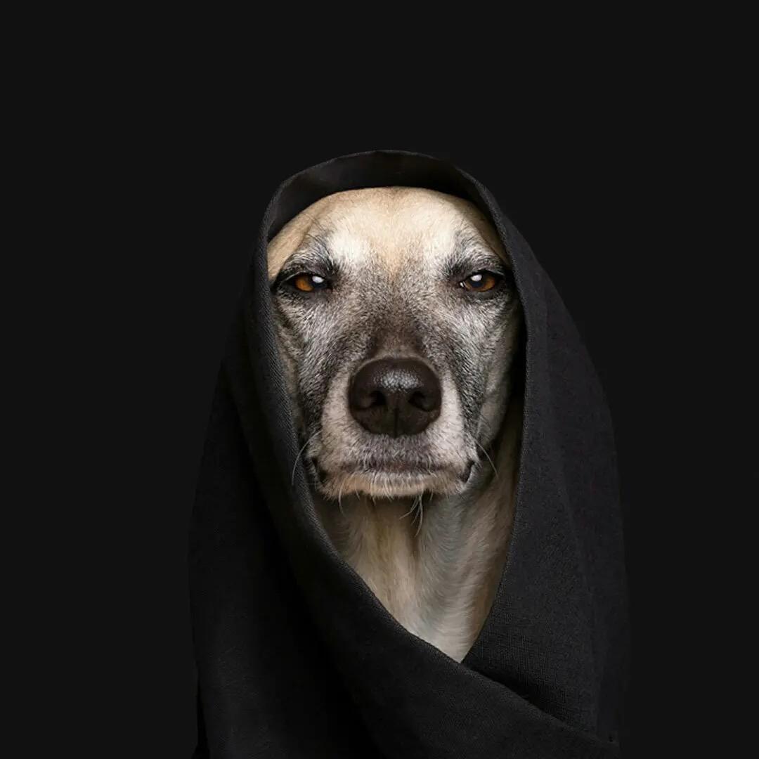 小时候可猛了、