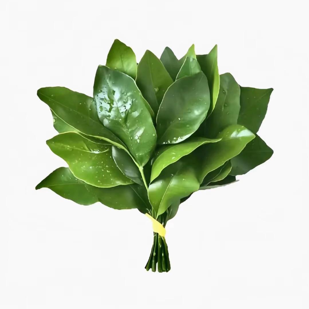 我的奇思妙想
