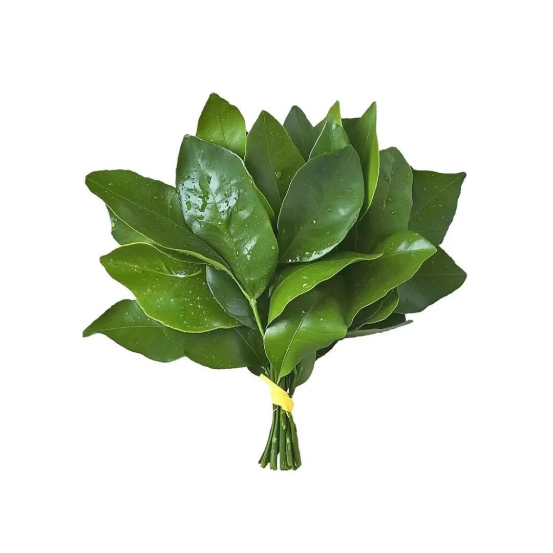 还是小零（低谷期）