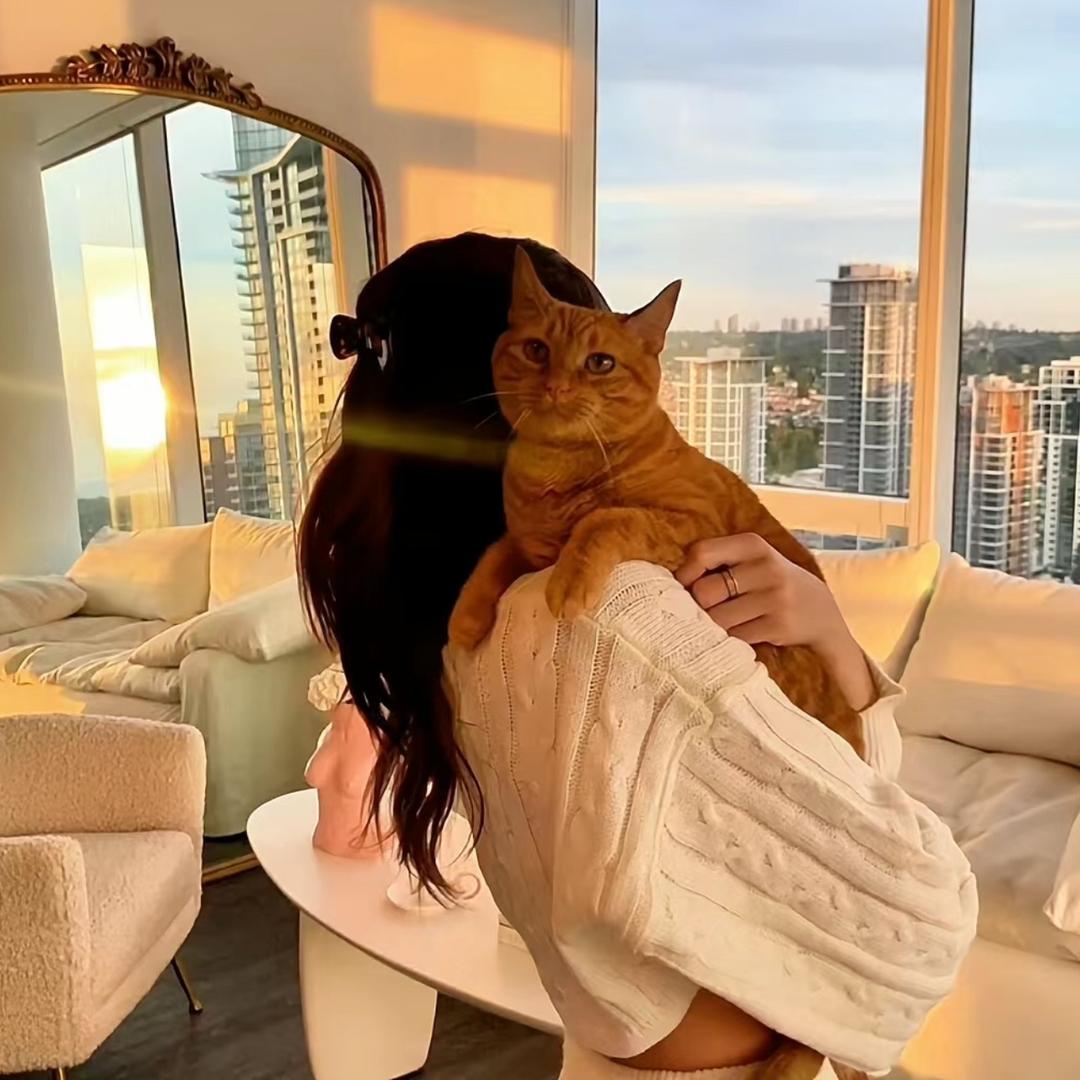 你可爱的小祖宗