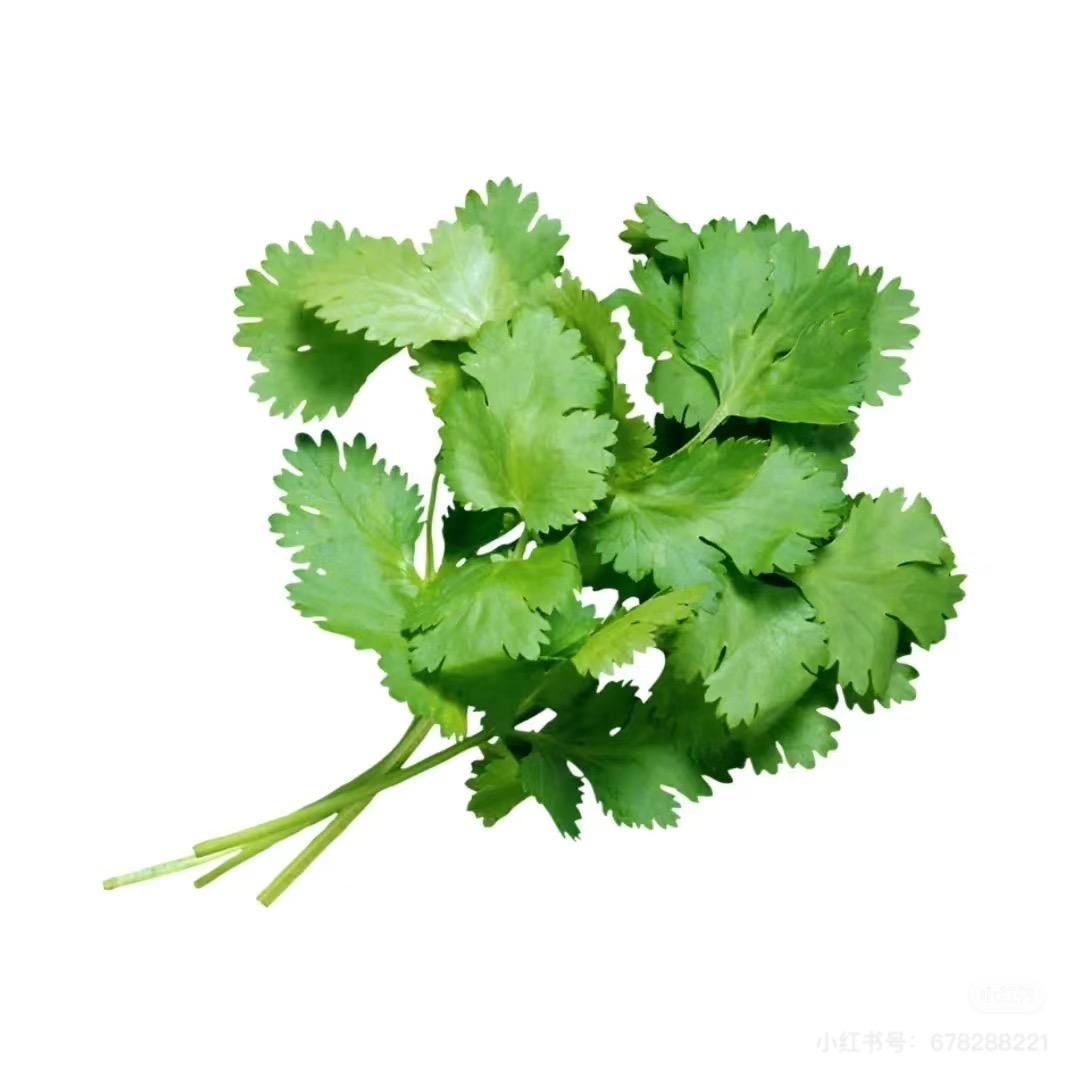 吃香菜了