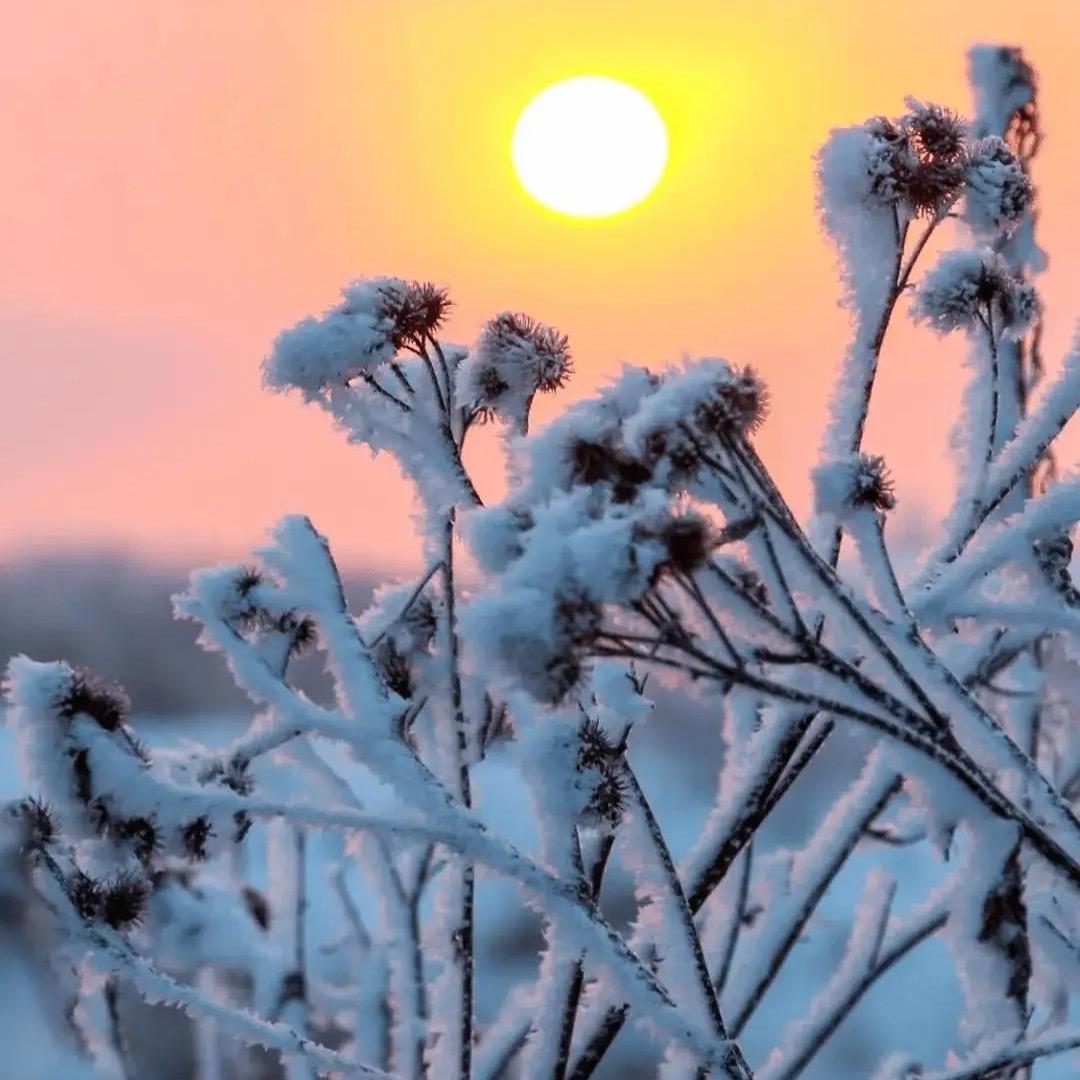 雪花❄️飘