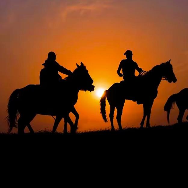 御风马术俱乐部