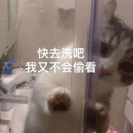 橘梗