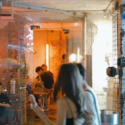 蓝桉长在洱海边