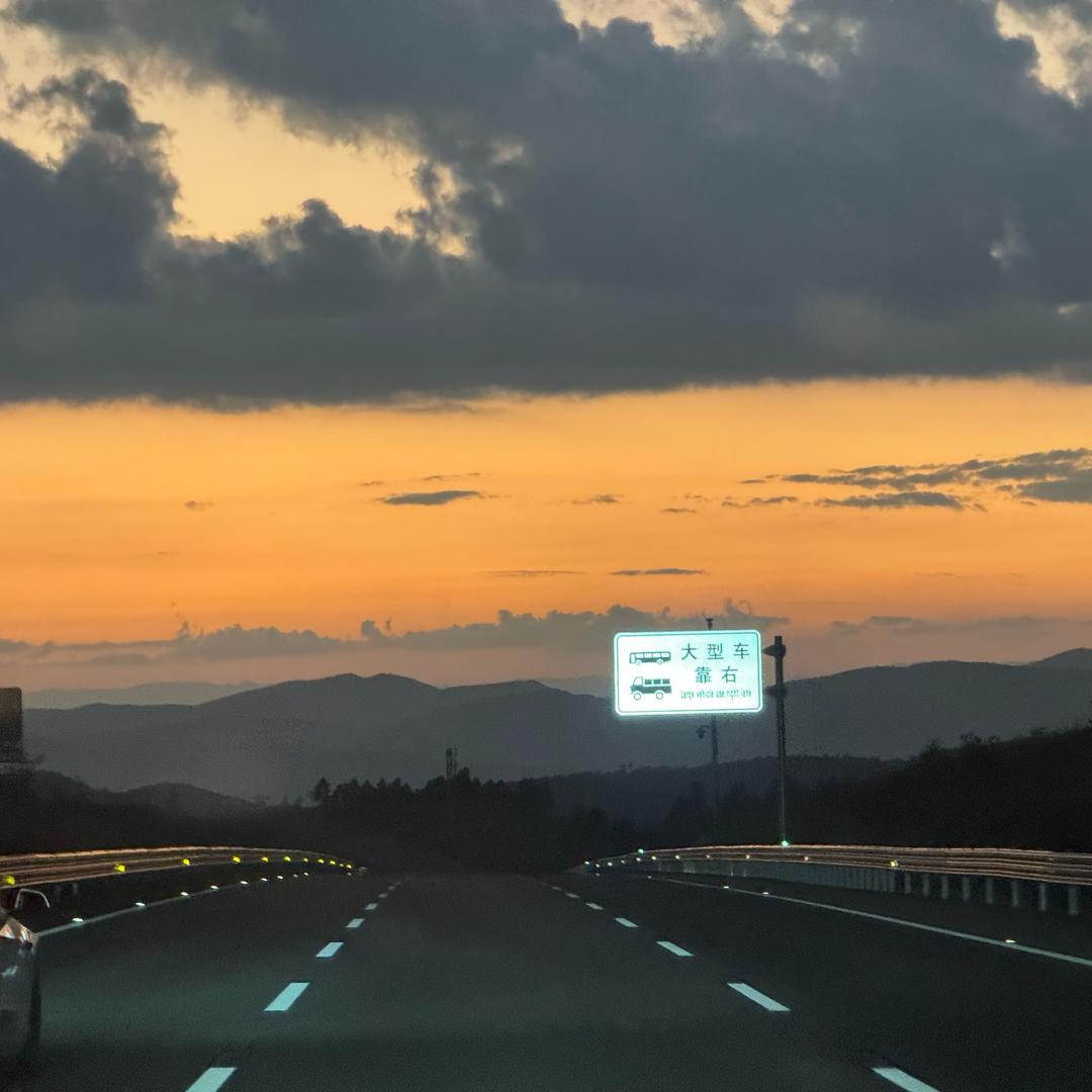 团鱼