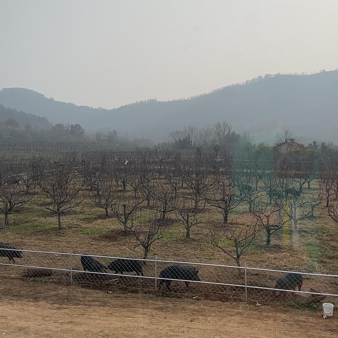 草叶源好物精选