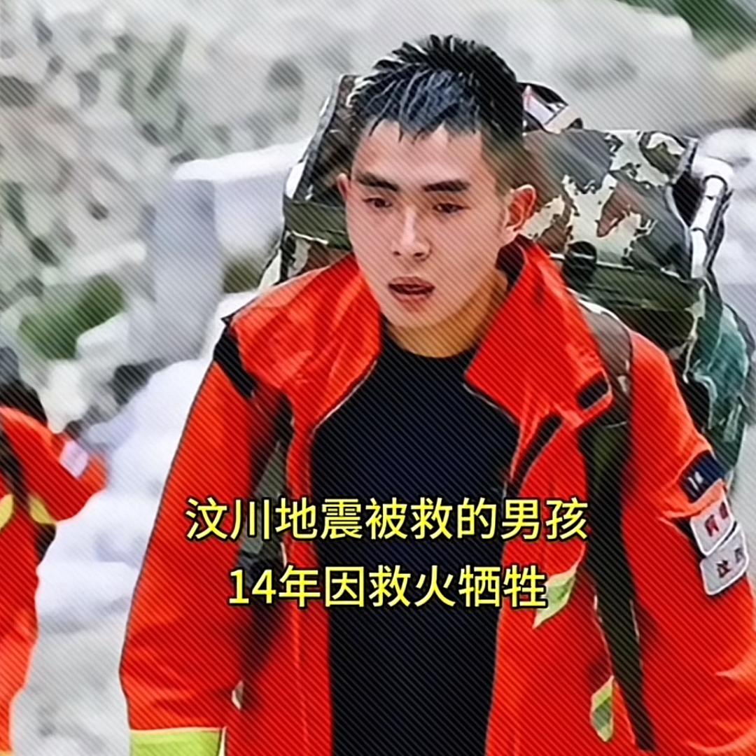 农村犬舍