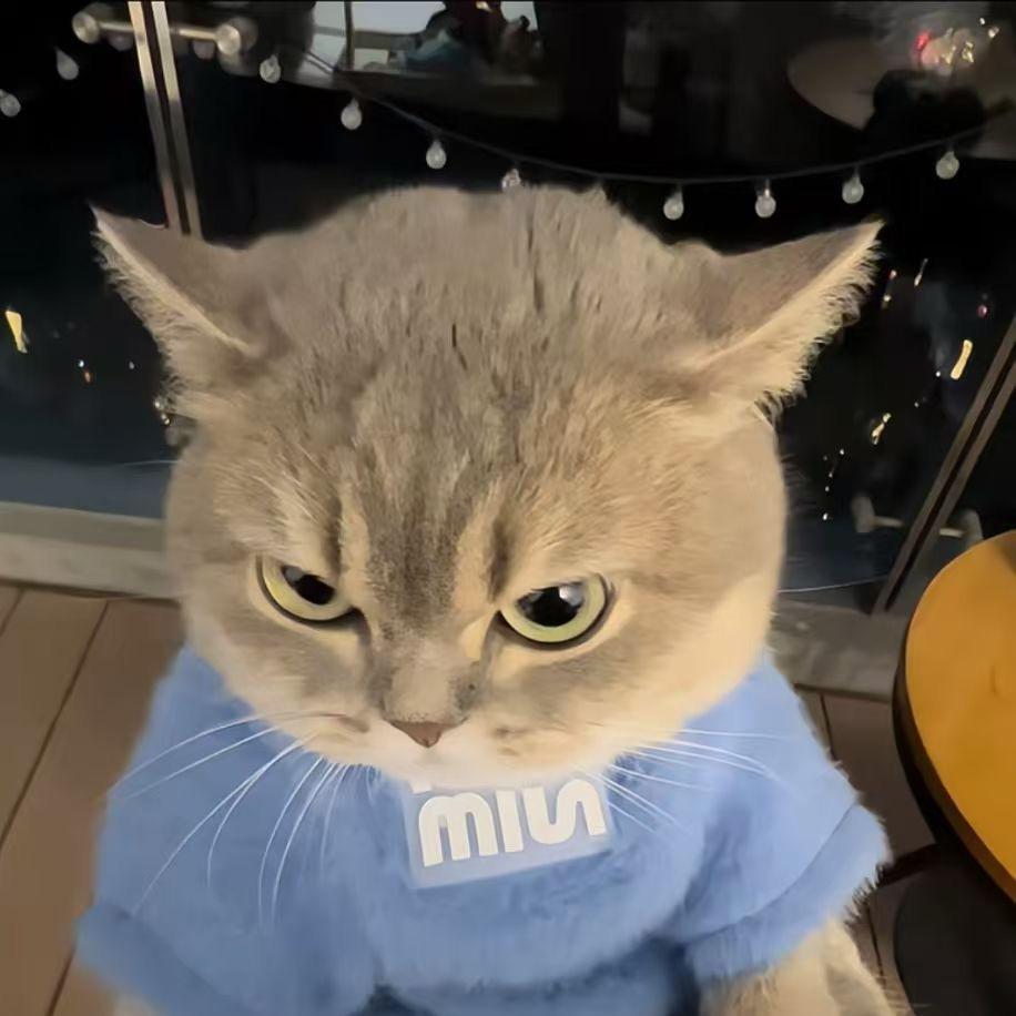 开破凯美瑞的樂校长