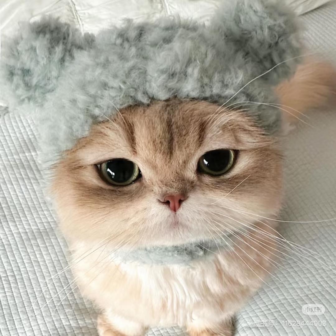 茄子脑袋