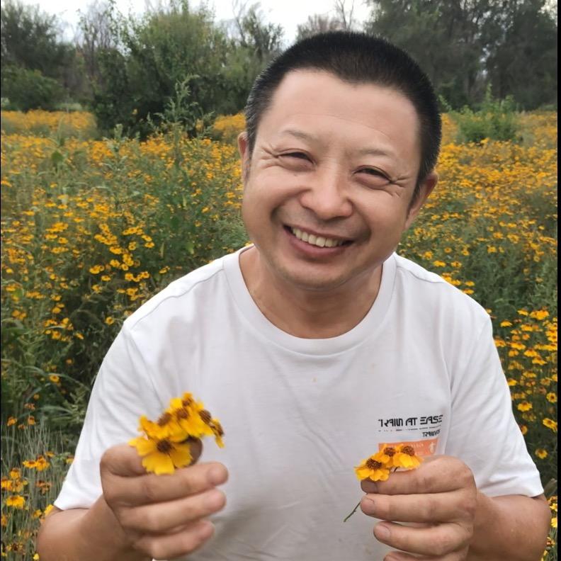 老汪在新疆