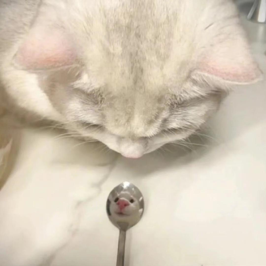 戴了不算给🙉