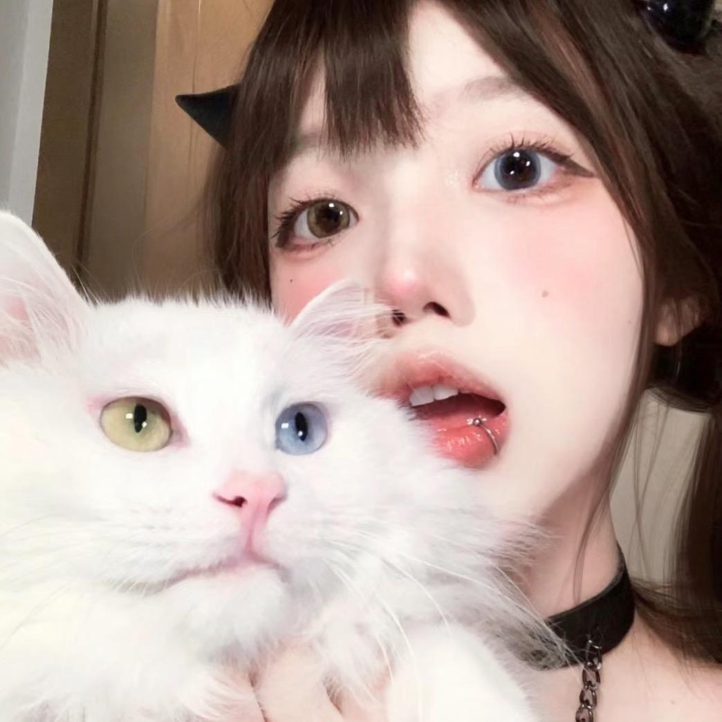怼怼怼