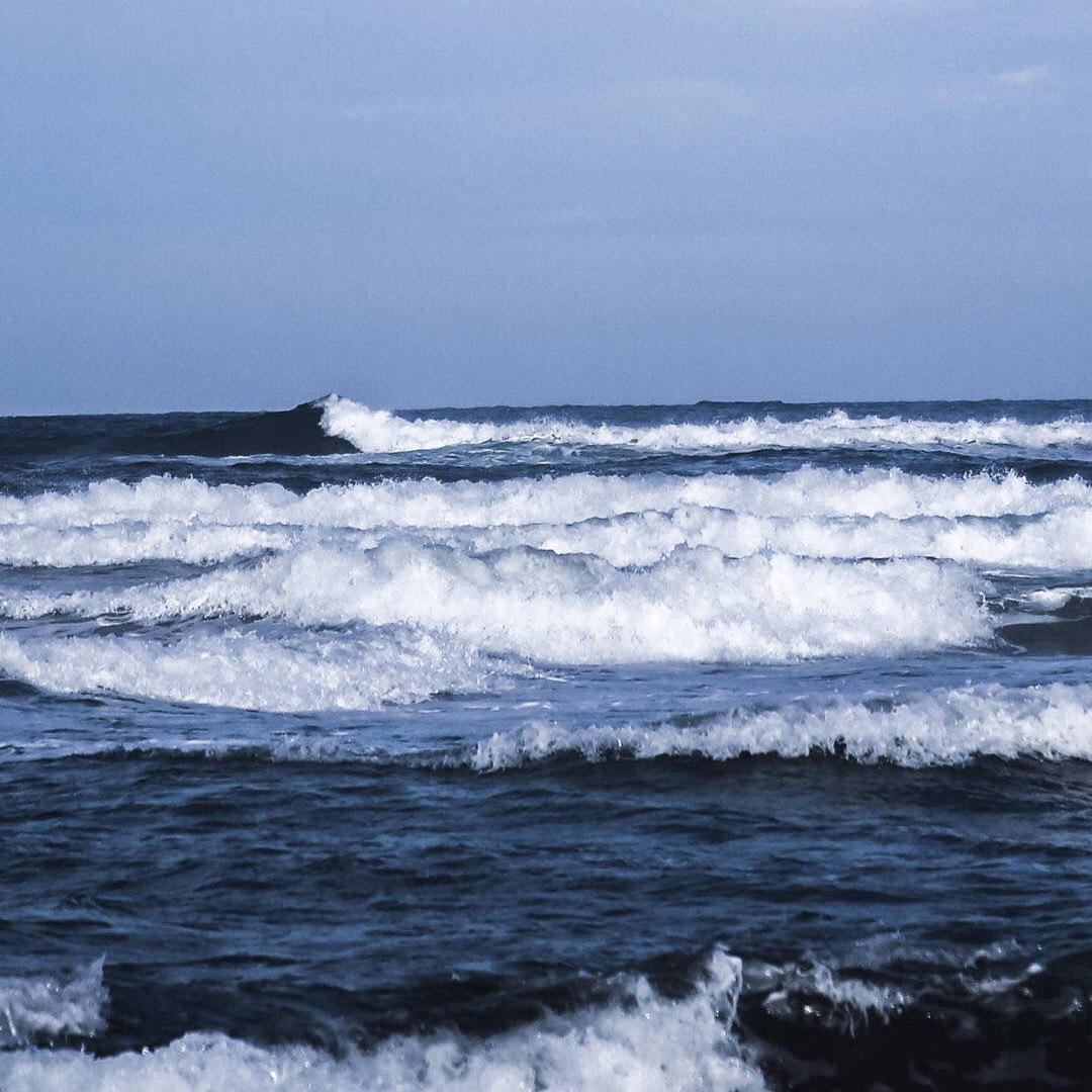 海韵鲜小岛生鲜