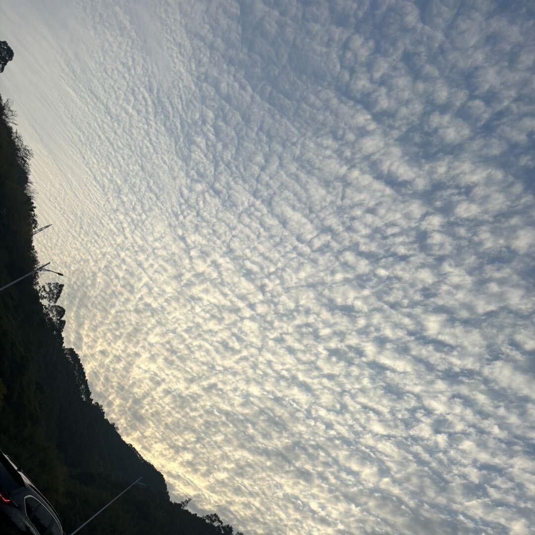 小成同學
