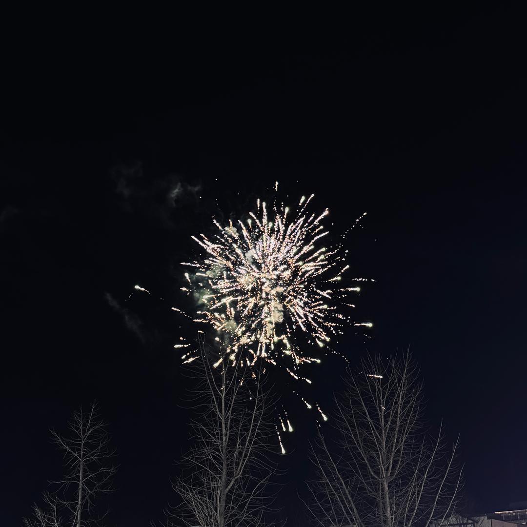 기동 여동생£¢&