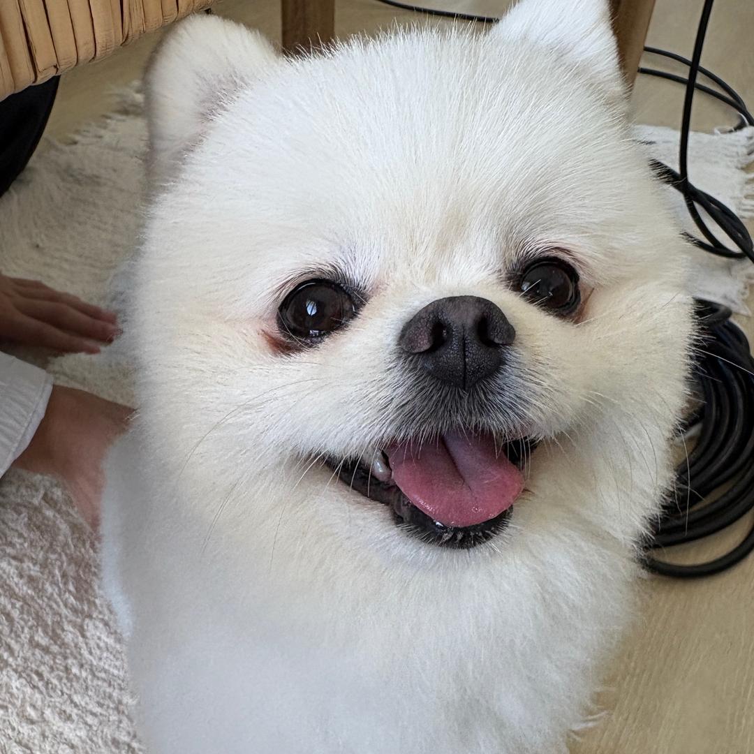 xunzi