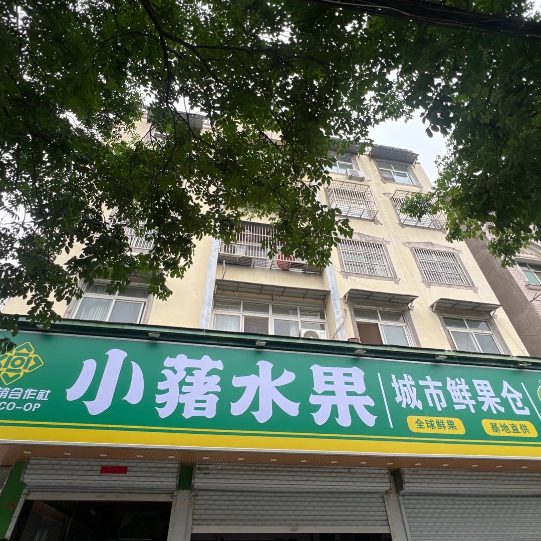 小蕏水果阜南三塔路店