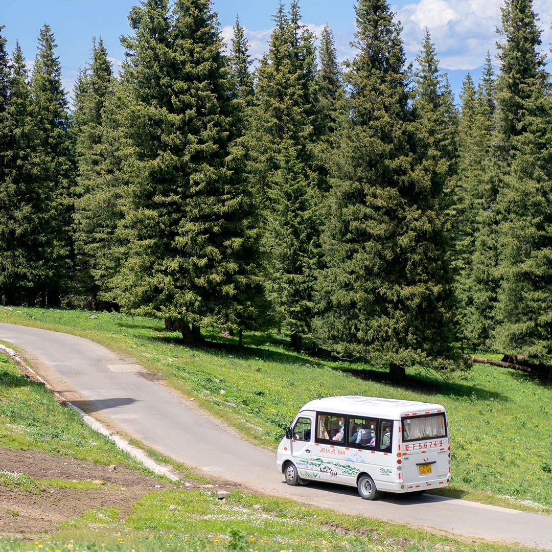 王主任的退休生活@抖音