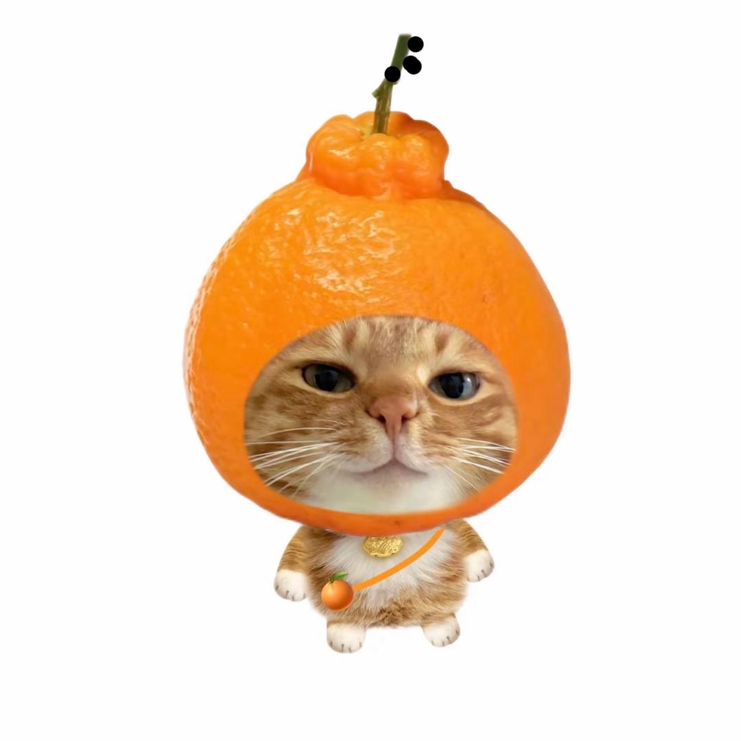 橘子🍊.