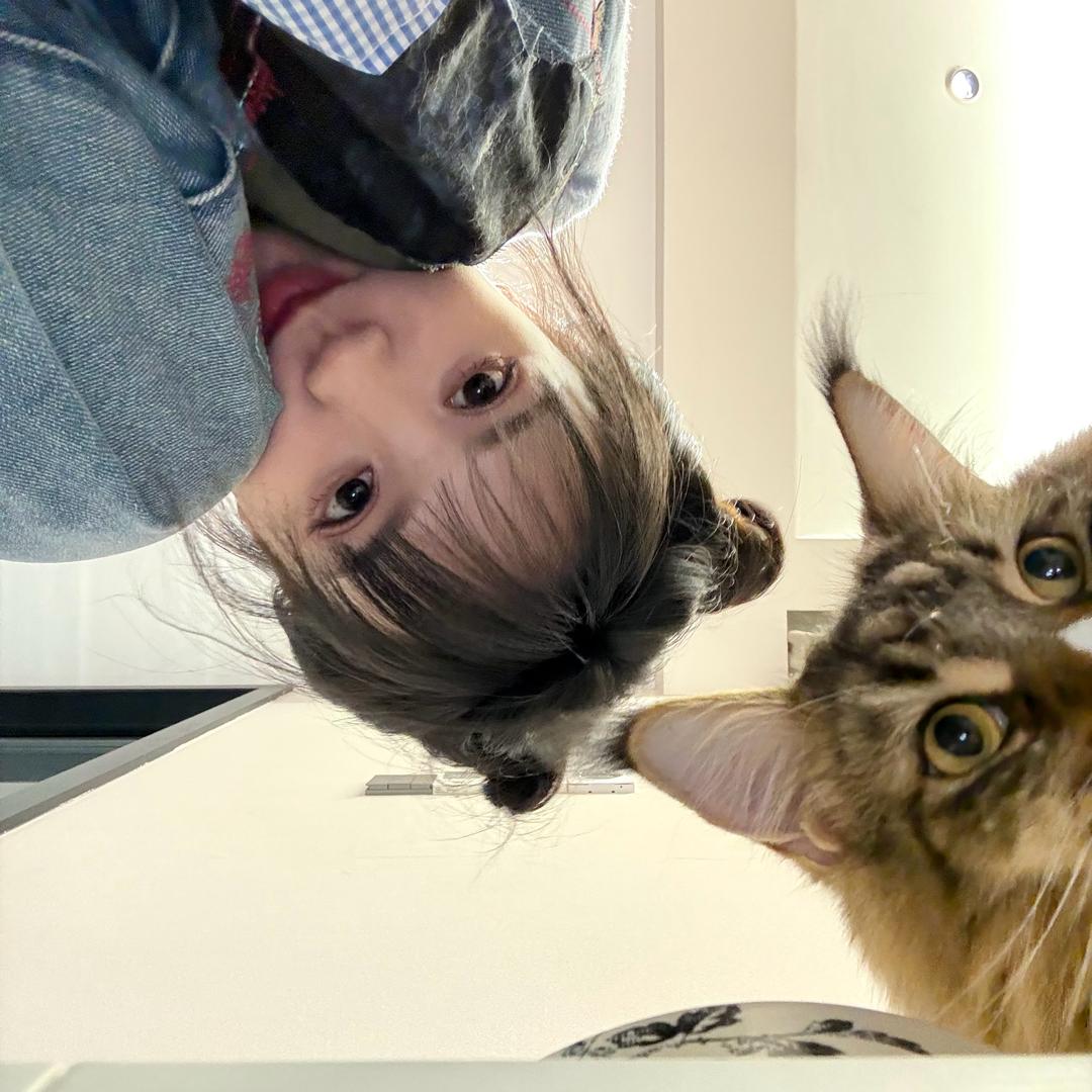 小孙钮钴禄版别惹