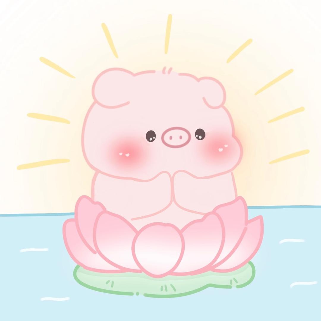 小椰子🥥