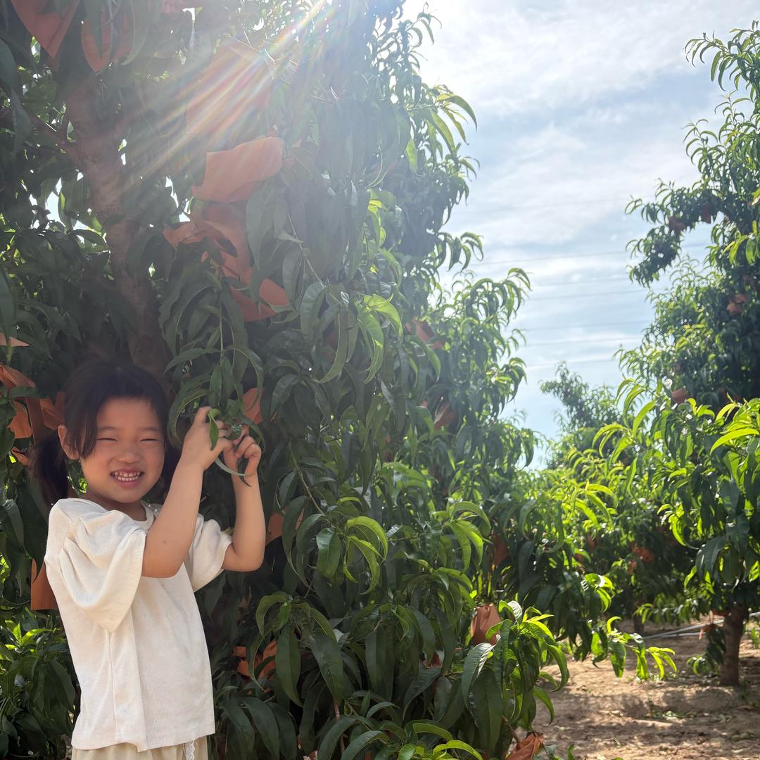 🌈 : 🌴ঞৣ᭄小田້໌ཽ的张🕊