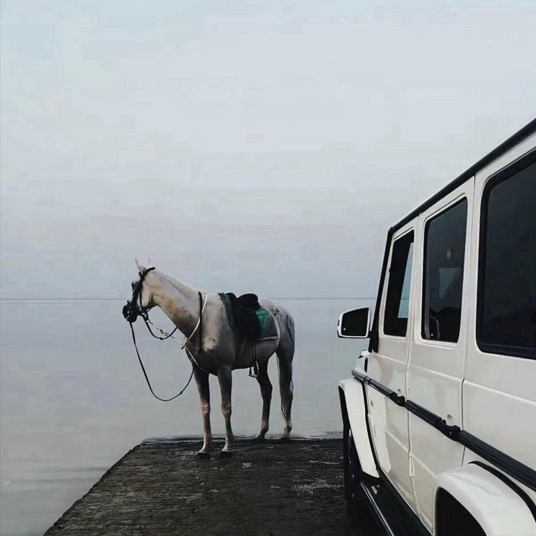ㅤㅤᅠㅤㅤ