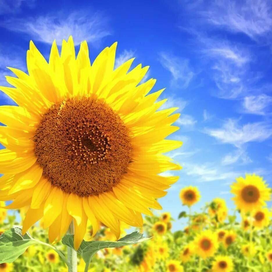 顺势而为相信自己