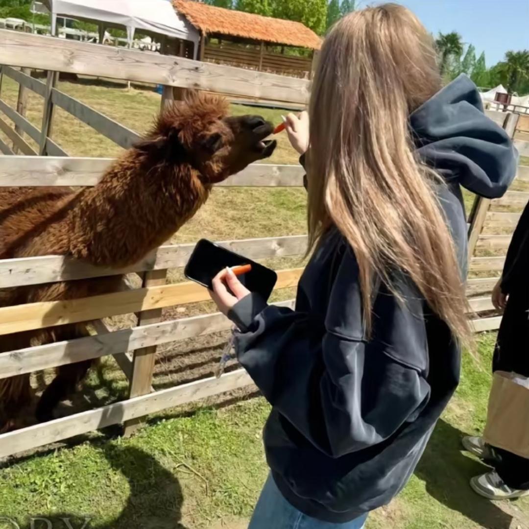 彤彤又饿了~🌫