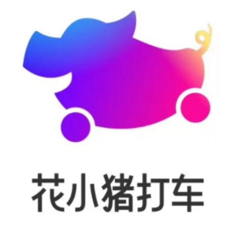 花小猪~特吉通～小雨