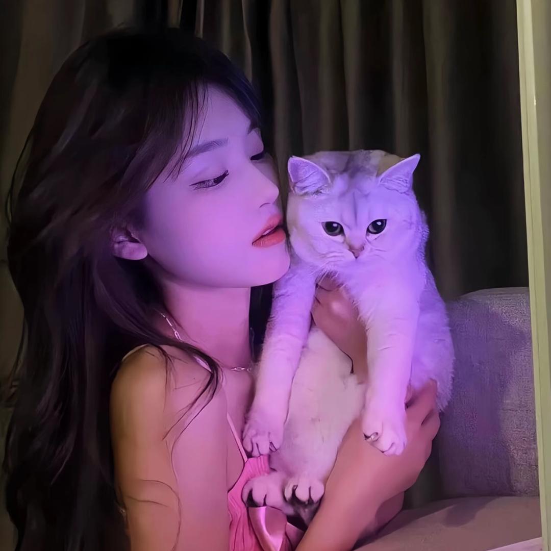 诗诗