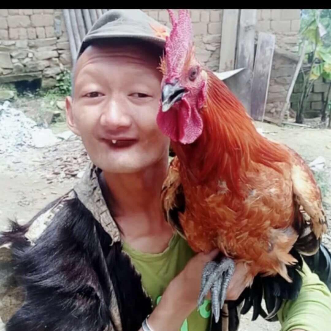 一颗牙（努力奋斗）
