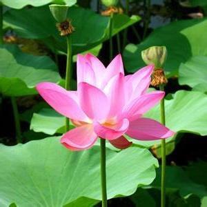 梅梅精选