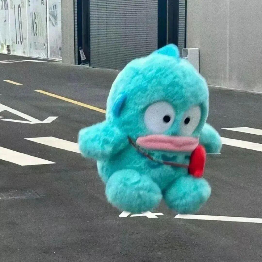 咸鱼进脑袋