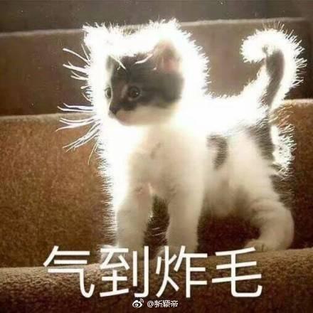 你与时光皆薄凉