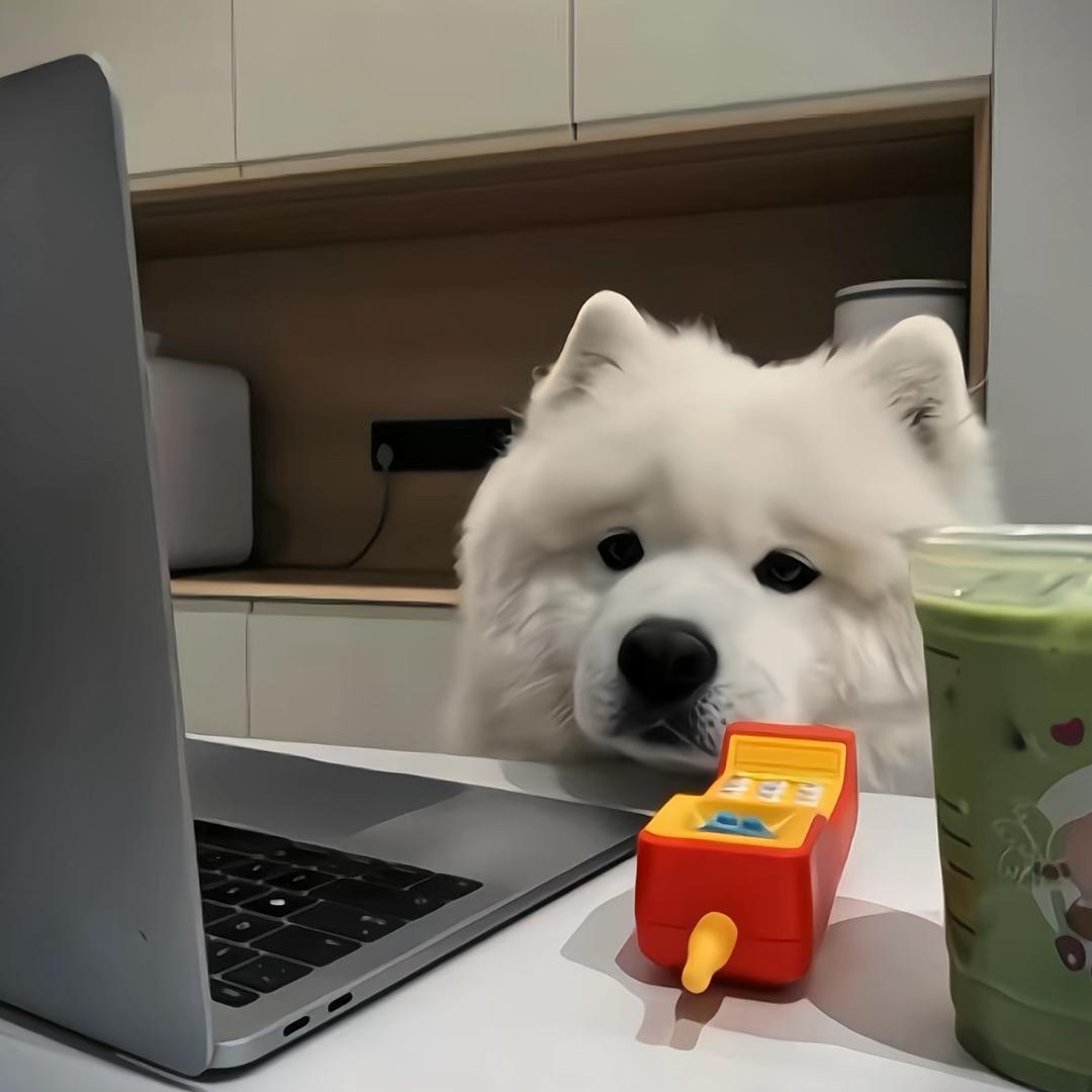 好好吃饭