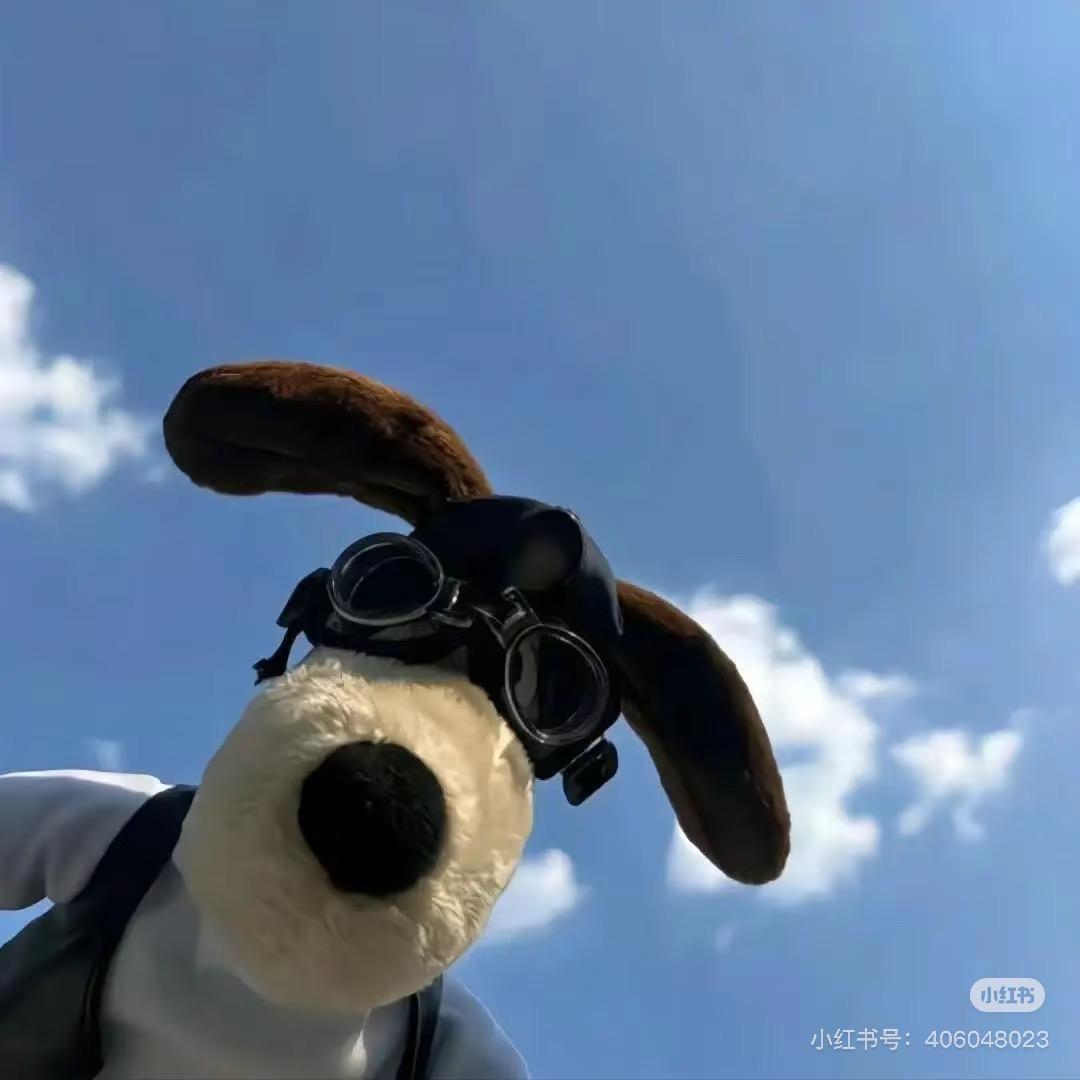 满眼星辰～