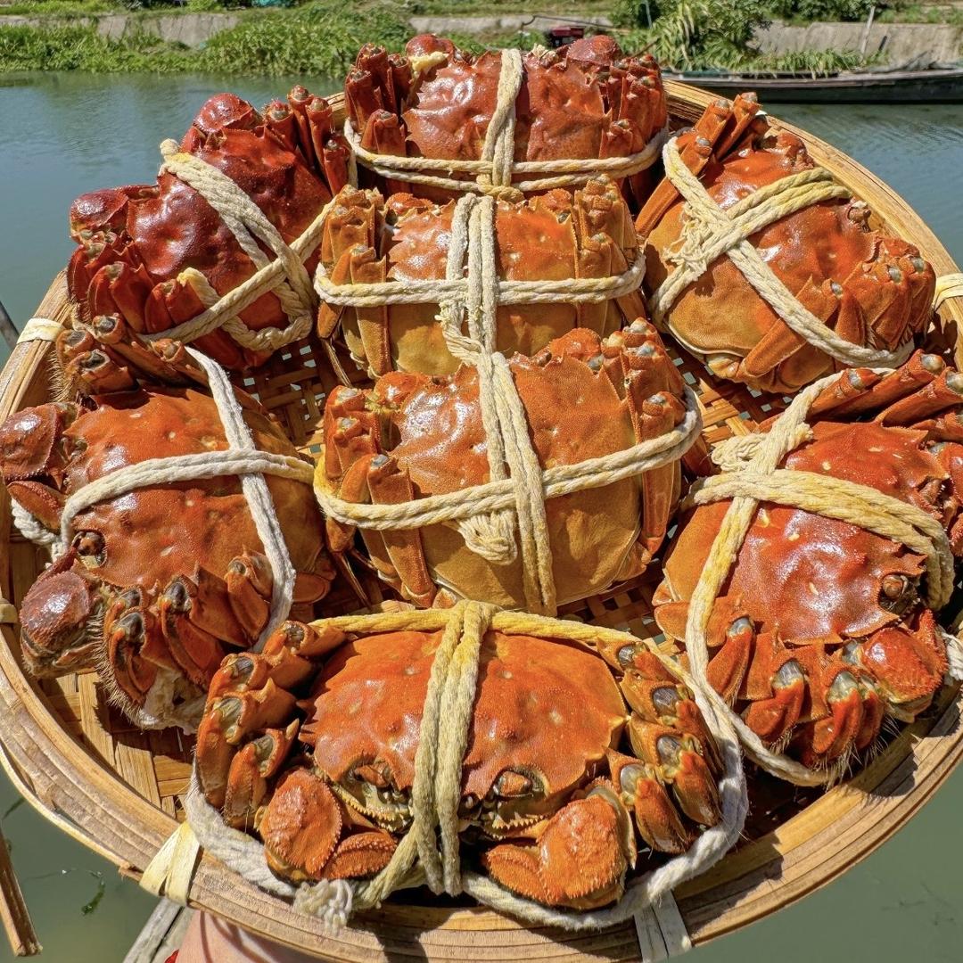 苏州精品大闸蟹邂逅