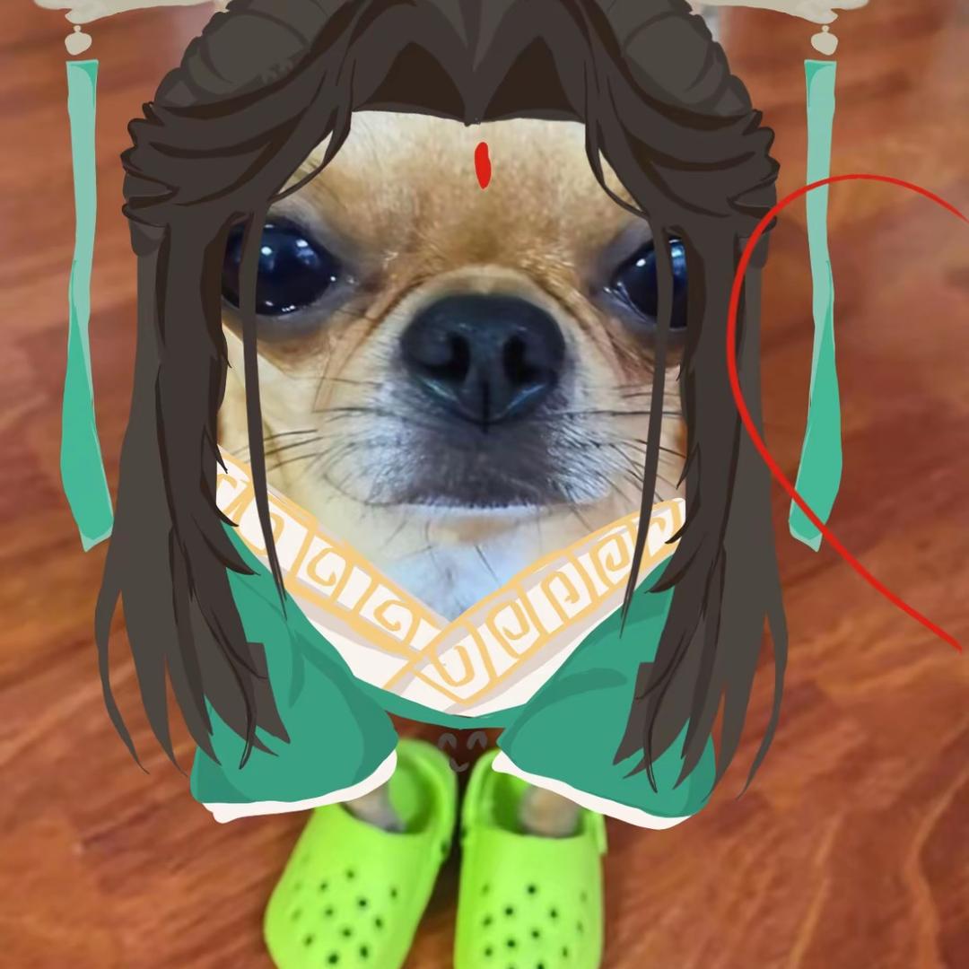 小兮（四连签to）