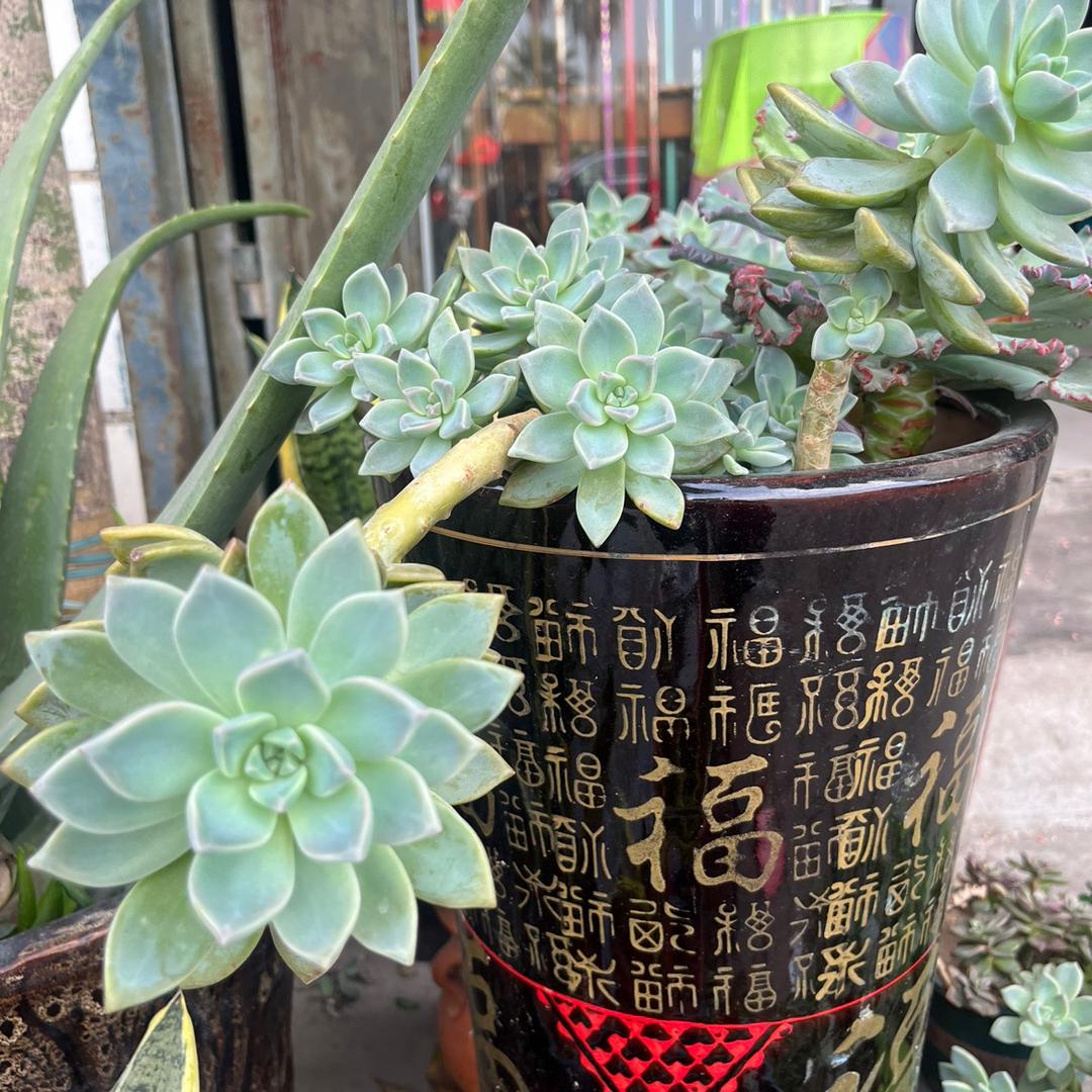 安海安平渔具店