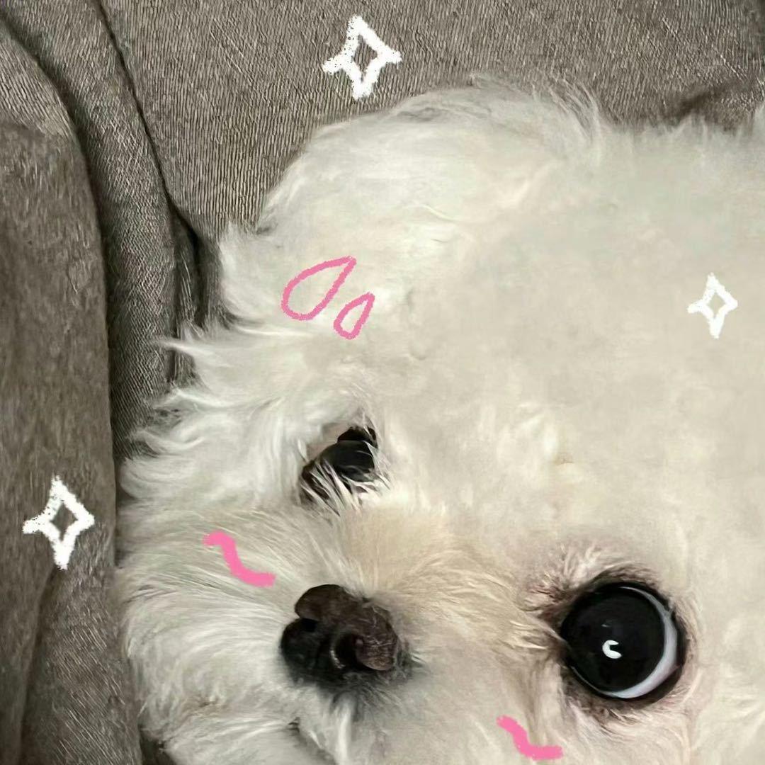 芜湖^_^