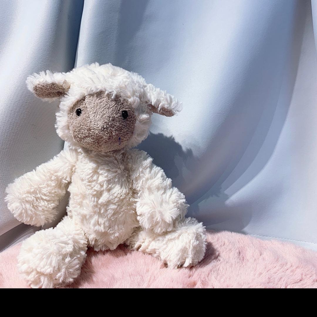 🐑仔